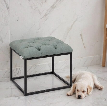 Caspa AI animal model product photography feature