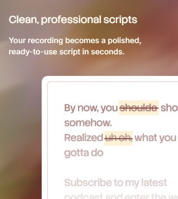Trupeer AI clean scripts