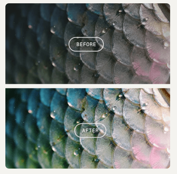 Magnific Image Editor