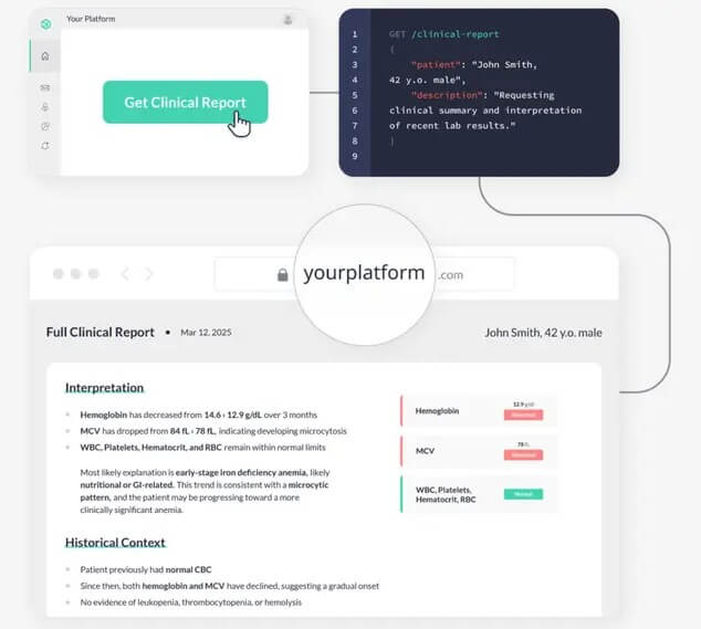 Docus API integration and clinical report workflow