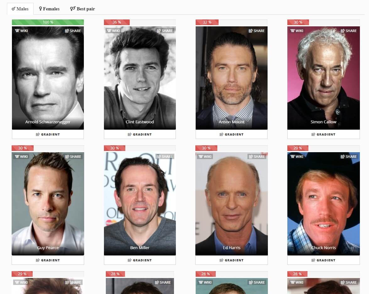 StarByFace sample 1 celebrity look-alike result