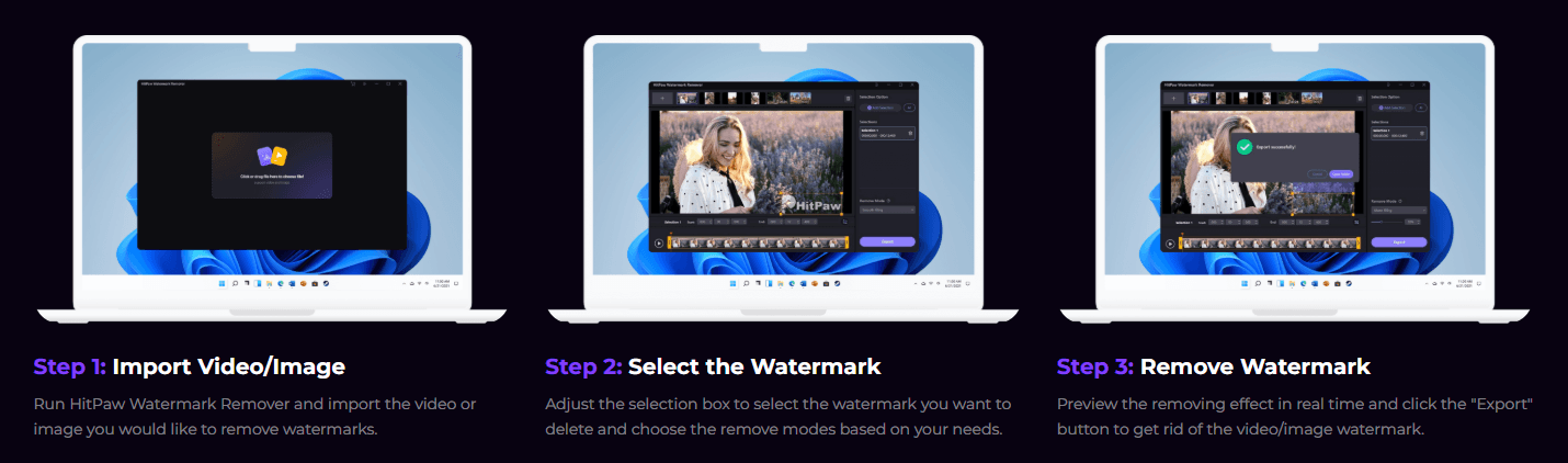 HitPaw Watermark Remover Steps