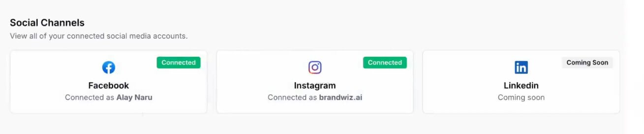 BrandWiz integrations