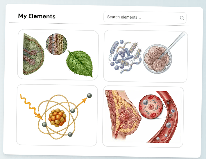 Illustrae My Elements library containing custom scientific illustrations of plant tissue, microorganisms, atoms, and anatomy