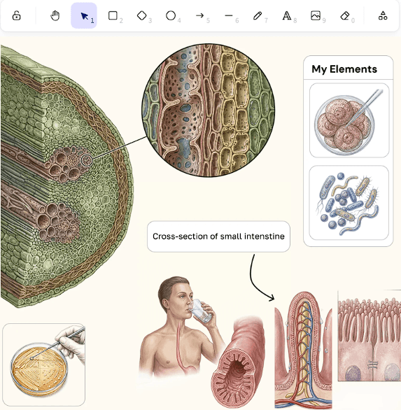 Illustrae scientific figure canvas combining biological illustrations, labels, arrows, magnified details, and saved elements